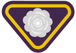 Pureza