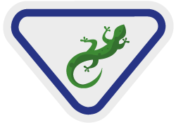 Lagartijas