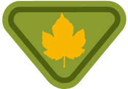 Árboles