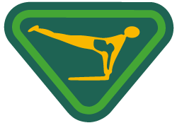 Gimnasta