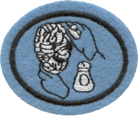 Papel Maché