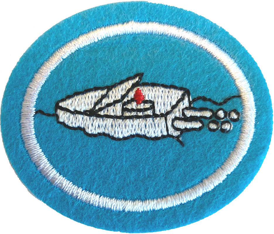 Regata de botes de juguete I