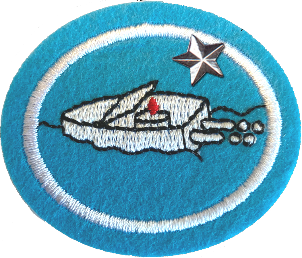 Regata de botes de juguete II