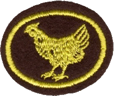 Cría de aves de corral