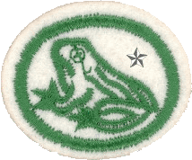 Anfibios II