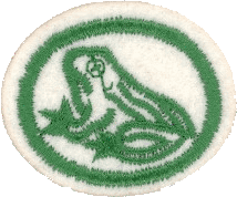 Anfibios