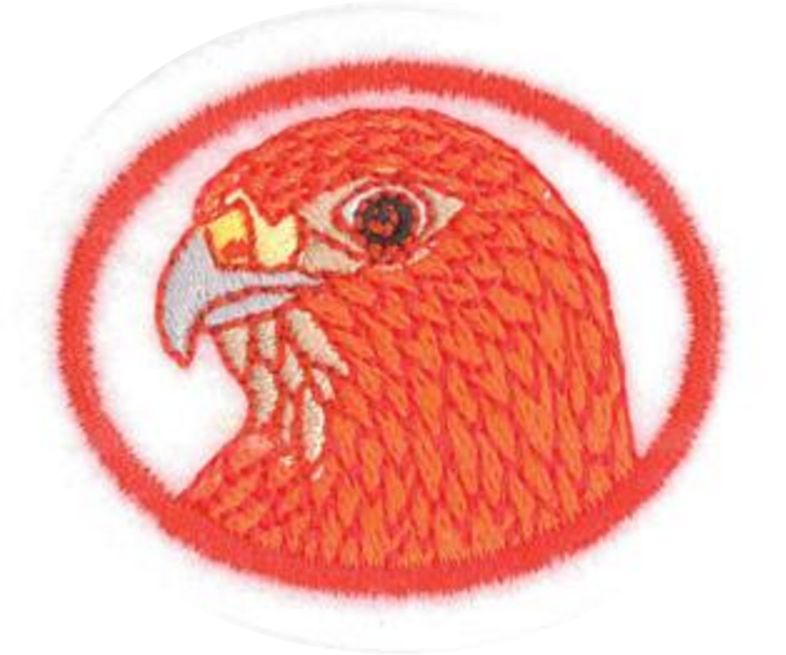 Aves de rapiña I