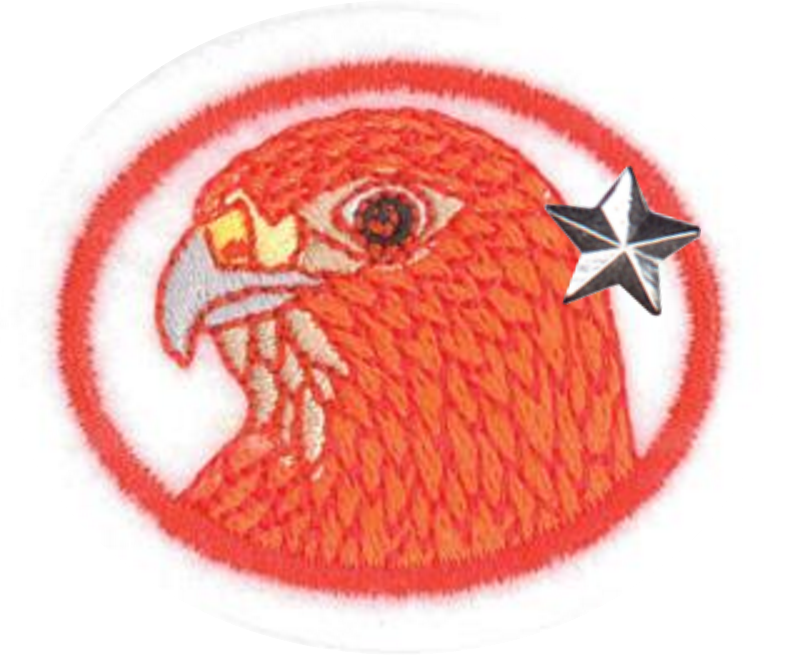 Aves de rapiña II