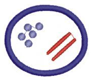 Bacterias