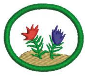 Briófitas