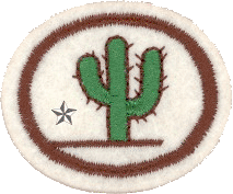 Cactus II