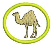 Camellos