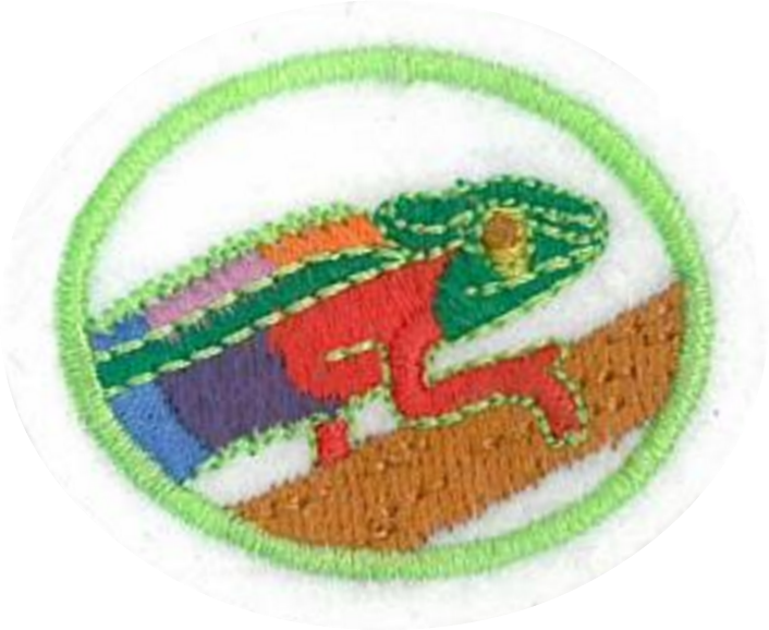 Camuflaje Animal I