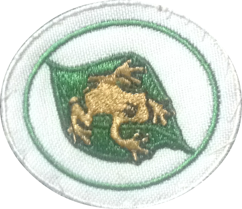 Coquí I