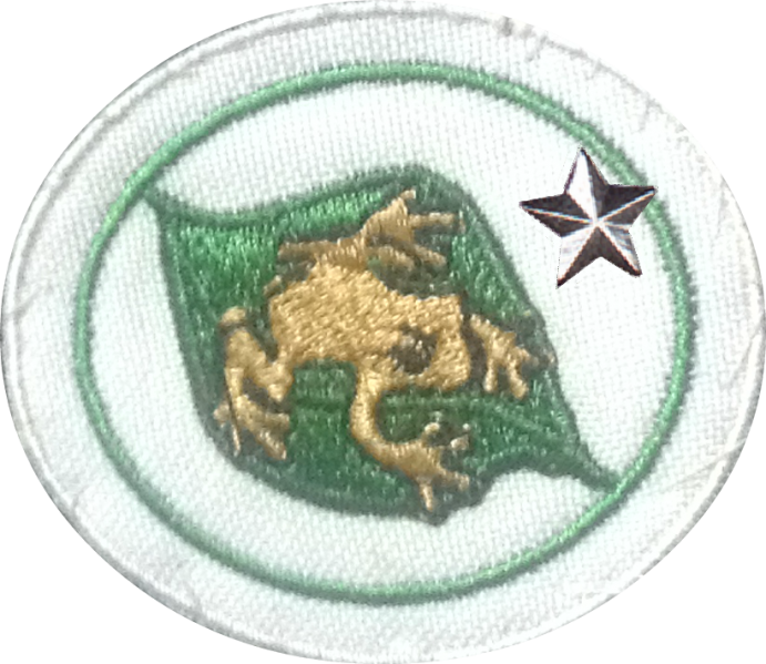 Coquí II