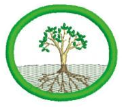 Fisiología Vegetal
