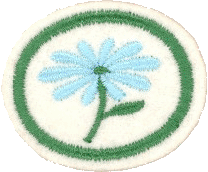Flores I
