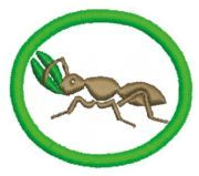 Hormigas