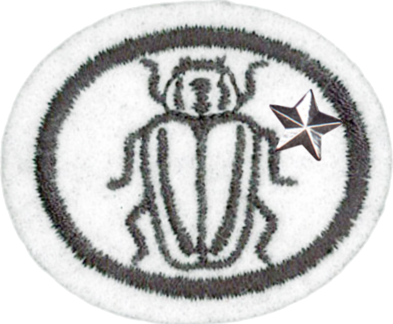 Insectos II