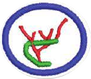 Líquenes