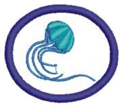 Poríferos y Cnidarios