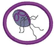 Protozoarios