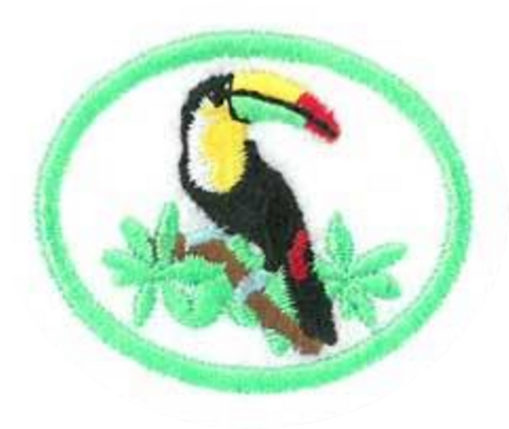Selvas Pluviales