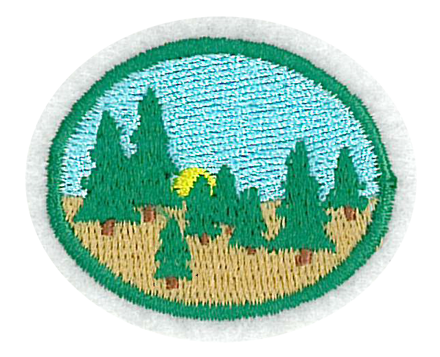 Taiga I