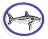 Tiburones