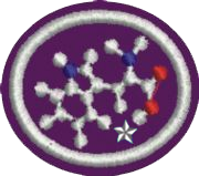 Bioquímica II