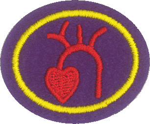 Corazón y circulación