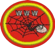 Diseñador web I
